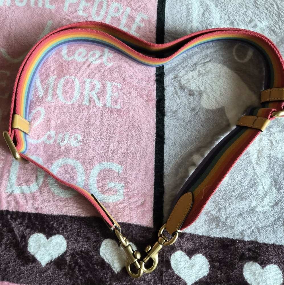 Coach Rainbow Crossbody Canvas & Leather Strap